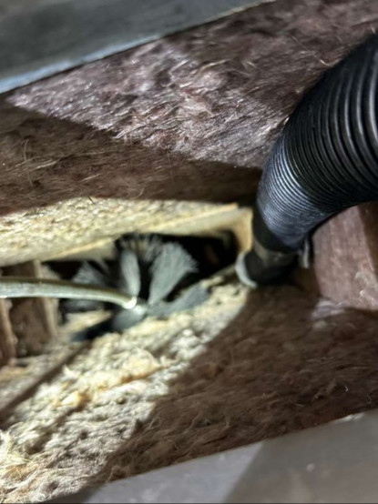 contact about air duct cleaning nj dryer vent cleaning nj air duct cleaning in hillsborough dryer vent cleaning in hillsborough contact about air duct cleaning nj dryer vent cleaning nj air duct cleaning in hillsborough dryer vent cleaning in hillsborough